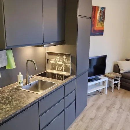 Ronzes Studija Apartment *
