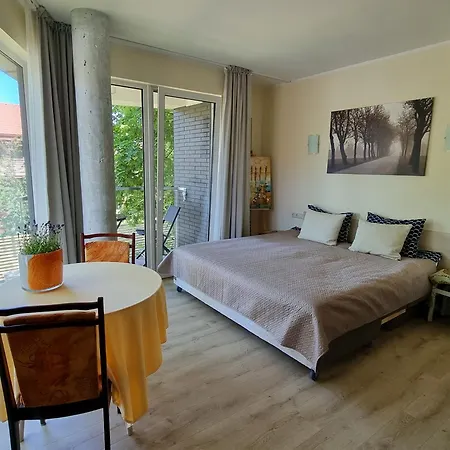 Ronzes Studija Palanga