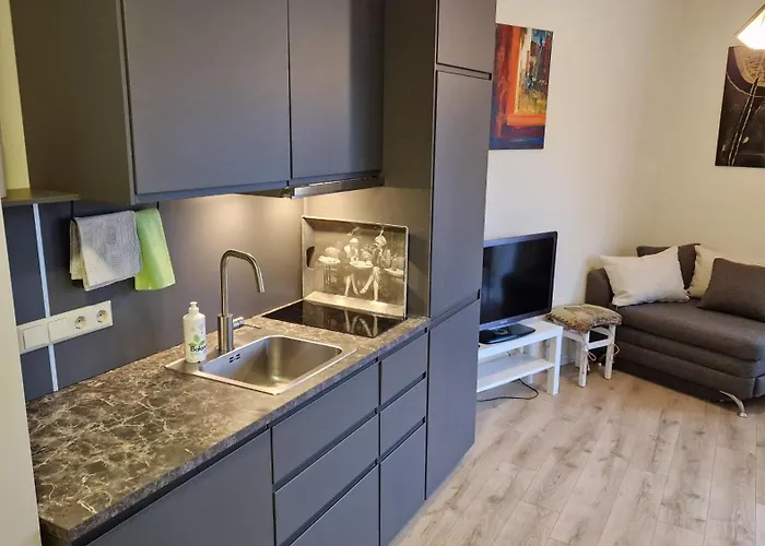 Ronzes Studija Daire *